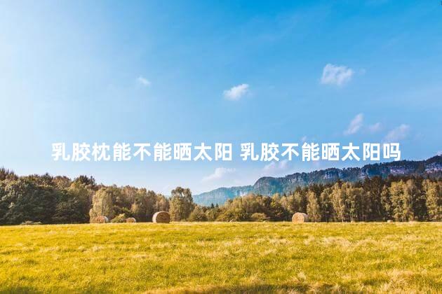 乳胶枕能不能晒太阳 乳胶不能晒太阳吗